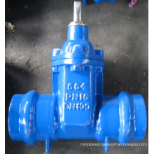 Resilient Seated Gate Valves Socket Ends